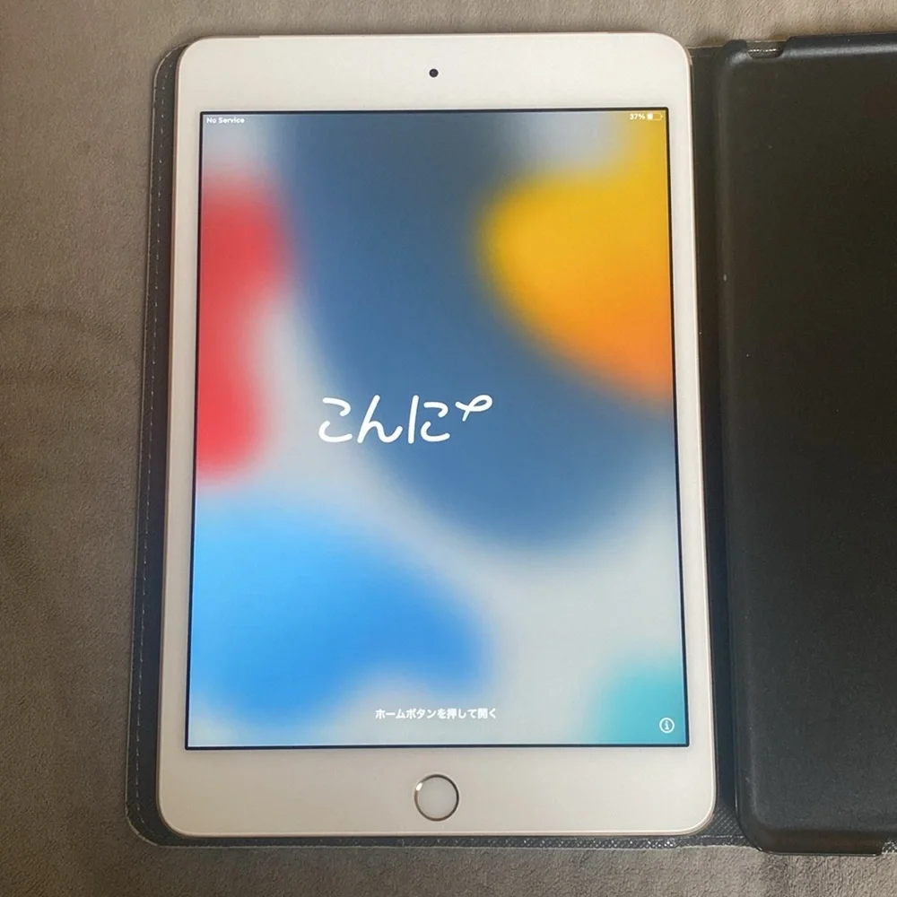 iPad Mini 4 BUNDLE